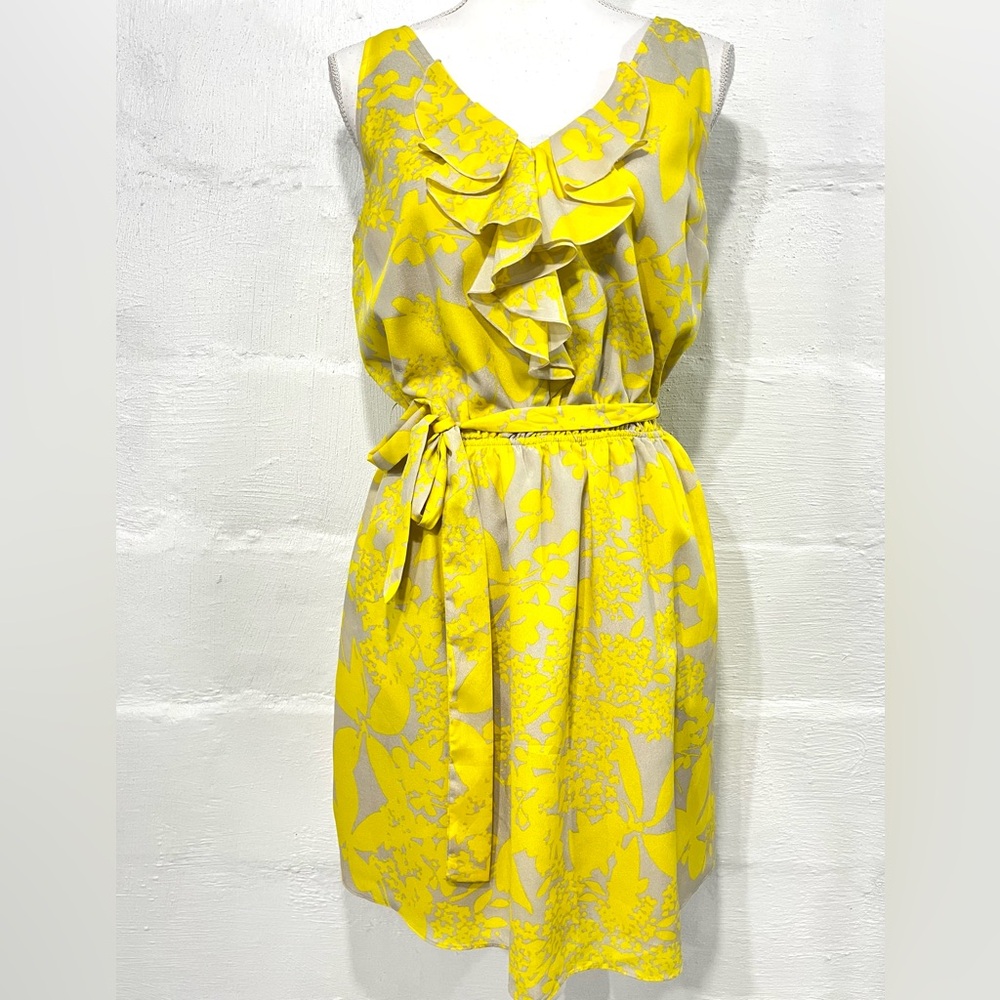EXPRESS RUFFLE DETAIL PULLOVER DRESS